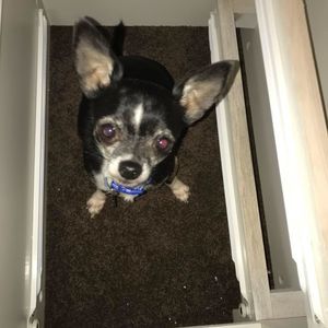 Meet your Posher, Sherry